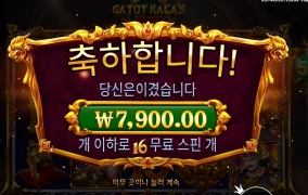 카토나 카토 퓨리나