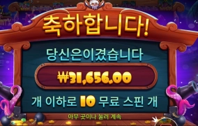 스카이바운티 와일드