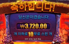 바이킹 결과보소