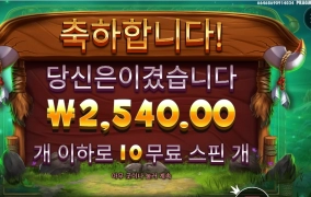 바이슨 안된다니깐