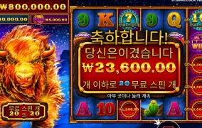 조금은 아쉽지만 스탬피드