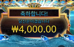 물고기 눈이 이상하다 했어