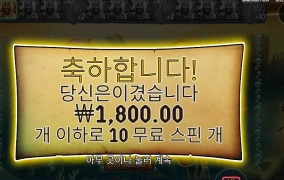 초이스를 잘 못 해서 그런가