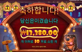 기본스핀 １０은 알겠다 개집아