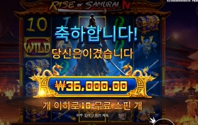 와일드 25배수 사무라이