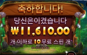 바이슨 ３보너스