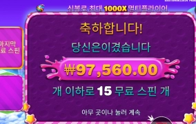 스위트보난자 1000 488배