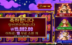 원숭이 요놈들 보게