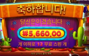 핫페퍼 기본 스핀 구매 후기