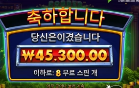 로버 스티키 초이