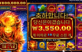 매질이 필요하다 불소