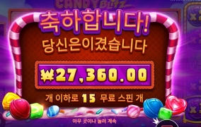 블리츠 １５스핀