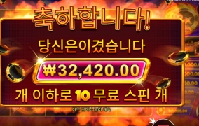 캐시칩스 와일드