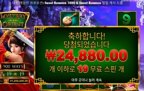 오리엔트 처음 해봅니다