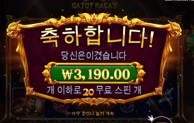 추가스핀을 받으셨잖아요