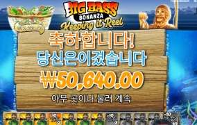 빅배스보난자 ２５３배