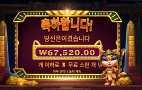 클레오캣트라 ３３８배