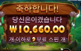 바이슨 기본 보너스