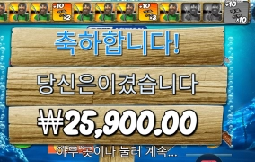 레벨３ 빅배스 보난자