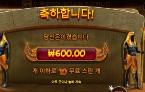 헌터 존 해명하세요