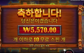 버팔로 ２콩 투입