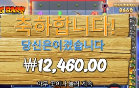 레벨2인디 빅배스