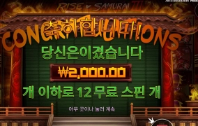 사무라이는 안맞아