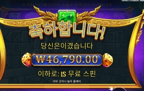 올림푸스 다이스 234배