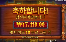 버팔로양 뭐가 문제니