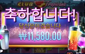 곱２면 뭐하냐 트로피카나