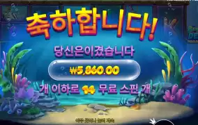 비웨더딥 스핀 후기