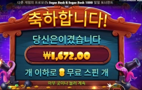 문어야 정신차려