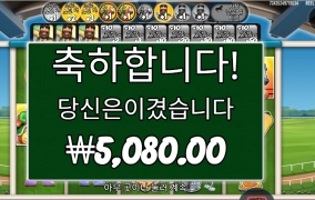 레이스픽 좋았다 생각했는데