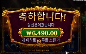 스핀이 19개 카토야