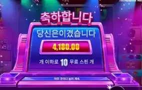 리워드가 이게 맞누