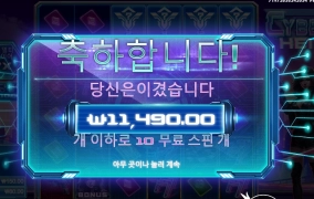 사이버 하이스트 후기