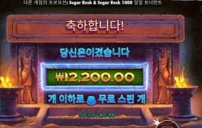 와일드가 떴습니다