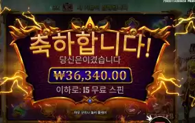 와일드 시원하다 카토야