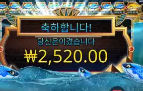 눈이 쪼까 거슬리네