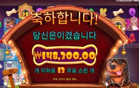 개집 멀티홀드 742배