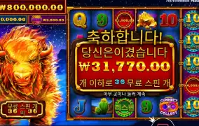 평타는 해주네 불소