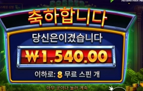 하이리스크 하이리턴