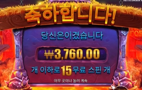 바이킹 15스핀 후기