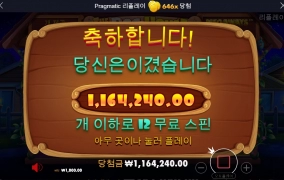 도그하우스 후기