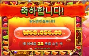 후르츠 멀티홀드 340배
