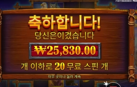 믿고보는 버팔로 킹