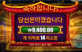 무럭무럭 자라렴 돈나무야