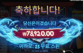 파워 오브 닌자 395배