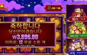 멍청한 원숭이들