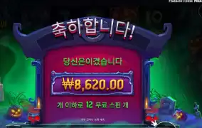 노 나이스 인펙티